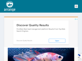 'sakana-tachihara.com' screenshot