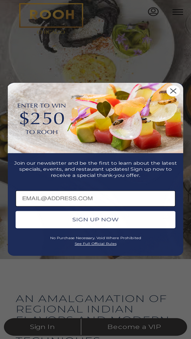 roohchicago.com