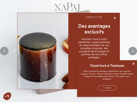 napaj.fr homepage screenshot