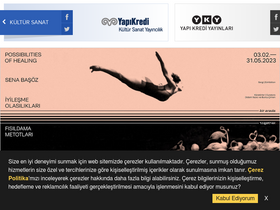 'ykykultur.com.tr' screenshot