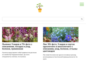 'mrdachnik.ru' screenshot