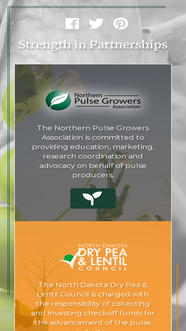 northernpulse.com