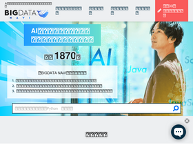 'bigdata-navi.com' screenshot