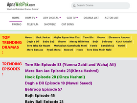 'apnawebpak.com' screenshot