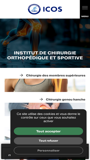 icos13.com