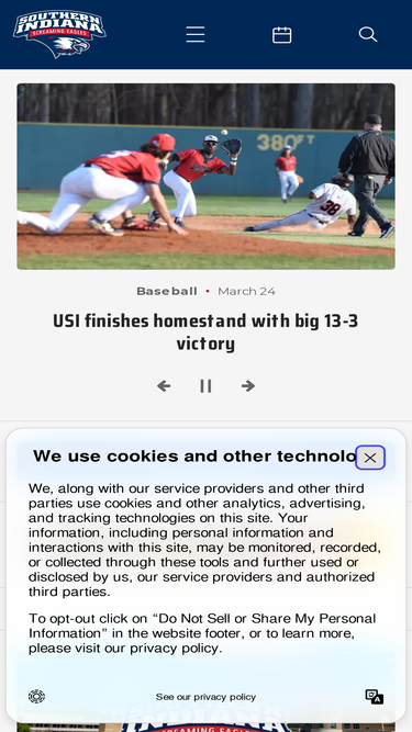 usiscreamingeagles.com