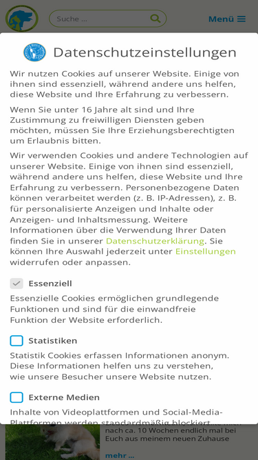 tierheimbonn.de