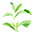 steviahealth-shop.com