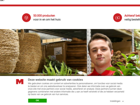 'massamarkt.nl' screenshot