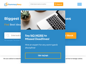 'summarystory.com' screenshot