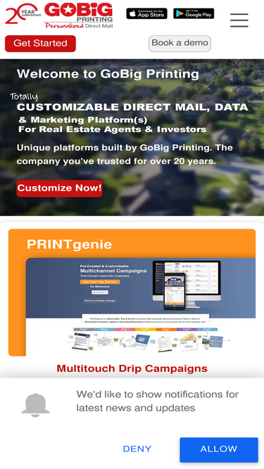 gobigprinting.com