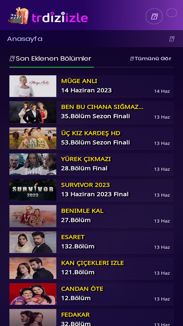 trdiziizle.co