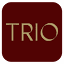 grupotrio.com.br