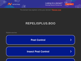 repelisplus.boo