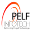 pelfinfotech.com