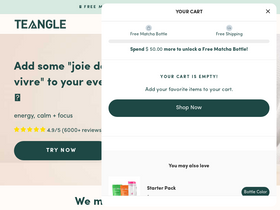Teangle homepage screenshot
