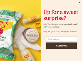 'burtsbees.com' screenshot