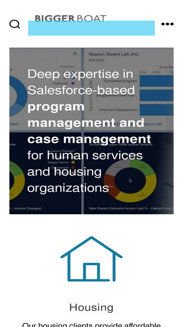 biggerboatconsulting.com