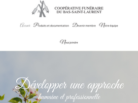 'cfbsl.com' screenshot