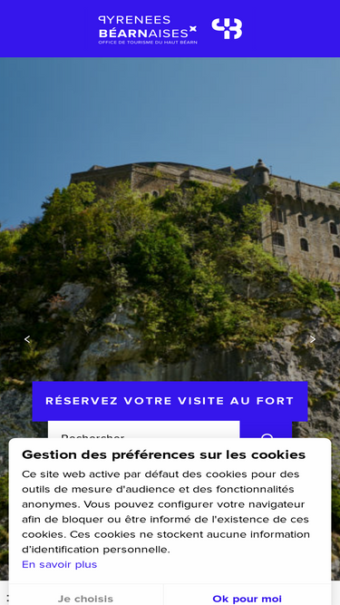 pyrenees-bearnaises.com