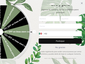 Introstem homepage screenshot