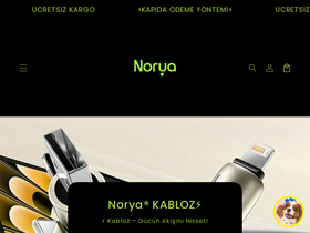 norya.tr homepage screenshot