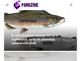 'otlichi.ru' screenshot