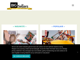 'bigsellers.nl' screenshot