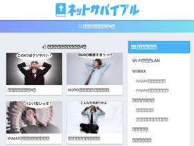 'netsurbible.com' screenshot