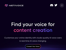 'themetavoice.xyz' screenshot