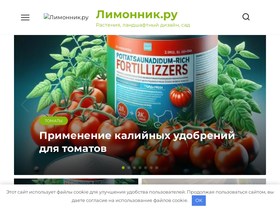 limonnik.ru