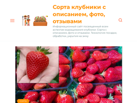 'sort-klubnika.ru' screenshot