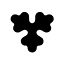 carlsberg.de