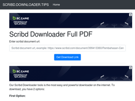 'downloader.tips' screenshot