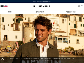 'bluemint.com' screenshot