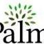 palmer-tulsa.org