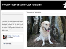 goldenduke.blogspot.com