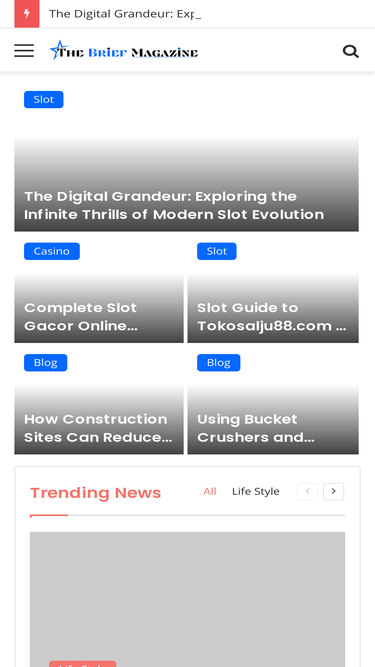 thebriefmagazine.com