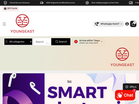YoungEast wholesale Partner homepage screenshot