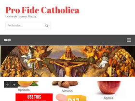 'profidecatholica.com' screenshot