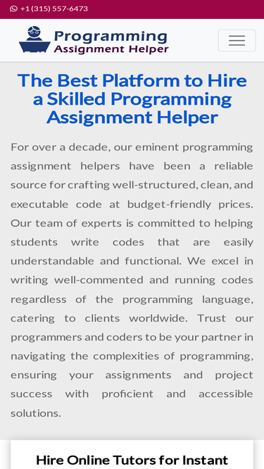 programmingassignmenthelper.com