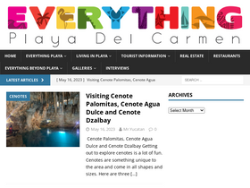 'everythingplayadelcarmen.com' screenshot