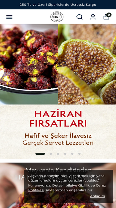 servet.com