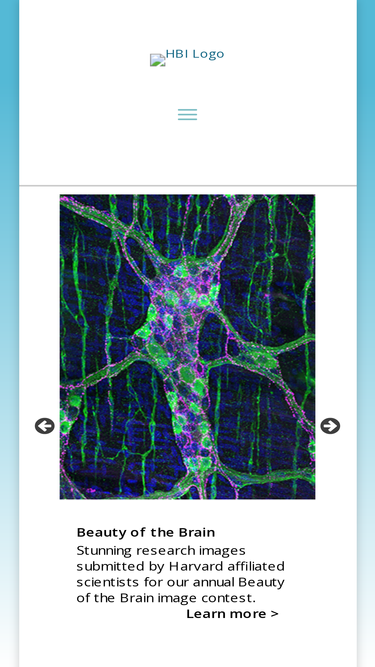brain.harvard.edu
