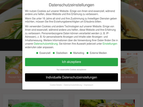 'kochkino.de' screenshot