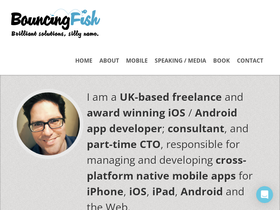 bouncingfish.com