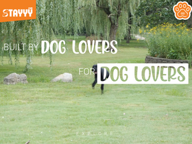 'stayyy.com' screenshot