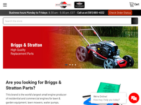 'briggsstrattonstore.com' screenshot