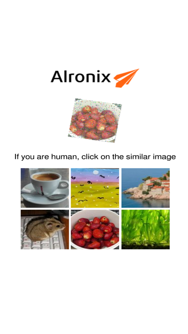 alronix.com