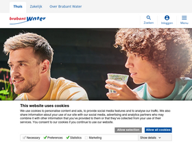 'brabantwater.nl' screenshot